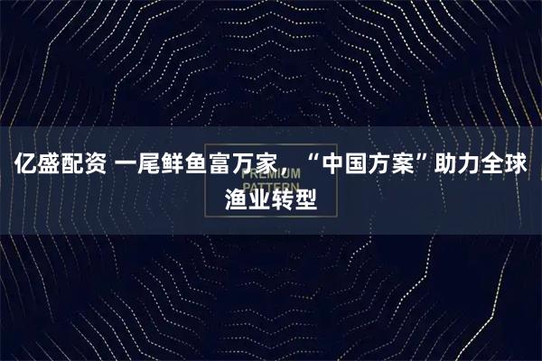 亿盛配资 一尾鲜鱼富万家，“中国方案”助力全球渔业转型