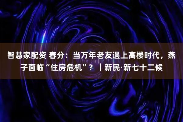 智慧家配资 春分：当万年老友遇上高楼时代，燕子面临“住房危机”？｜新民·新七十二候