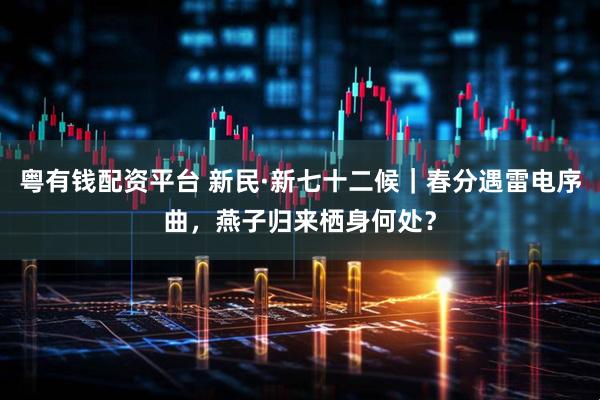 粤有钱配资平台 新民·新七十二候｜春分遇雷电序曲，燕子归来栖身何处？