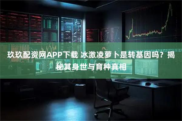 玖玖配资网APP下载 冰激凌萝卜是转基因吗？揭秘其身世与育种真相