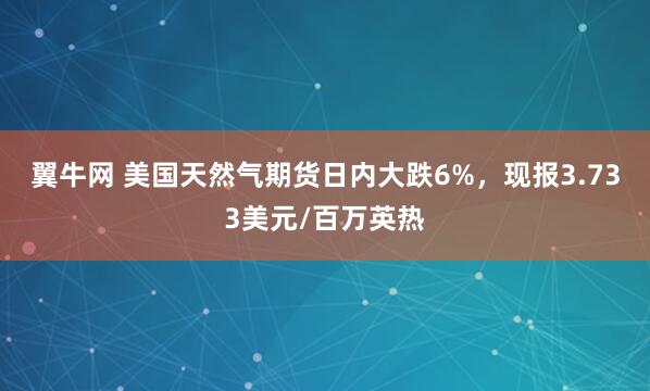 翼牛网 美国天然气期货日内大跌6%，现报3.733美元/百万英热